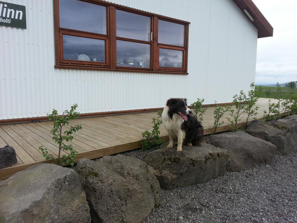 Skalinn Between Gullfoss And Geysir - Myrkholt Farm Haukadalur Εξωτερικό φωτογραφία