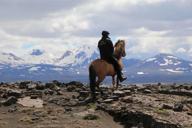 Skalinn Between Gullfoss And Geysir - Myrkholt Farm Haukadalur Εξωτερικό φωτογραφία